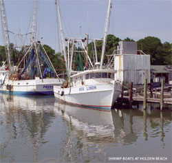 Trawlers at dock in Holden Beach, North Carolina