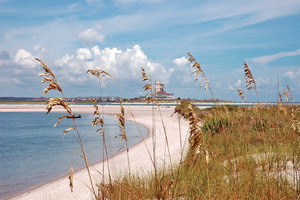 Palm Cove of the Carolinas, Sunset Beach, NC