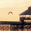 Folly Beach, South Carolina