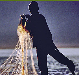 In McClellanville, SC a fisherman checks fishing nets for the day's catch